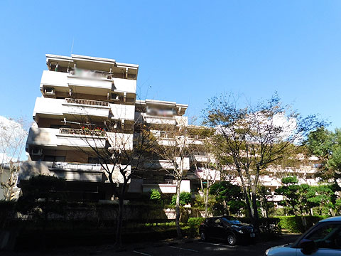 現地外観写真　建物外観