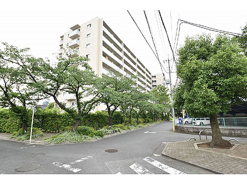 現地外観写真　マンション敷地内は桜の木に囲まれています