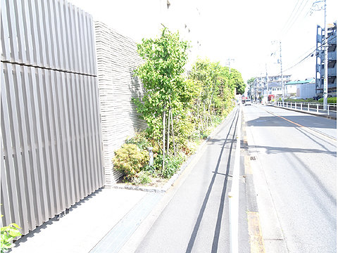 現地土地写真　前面道路と建物