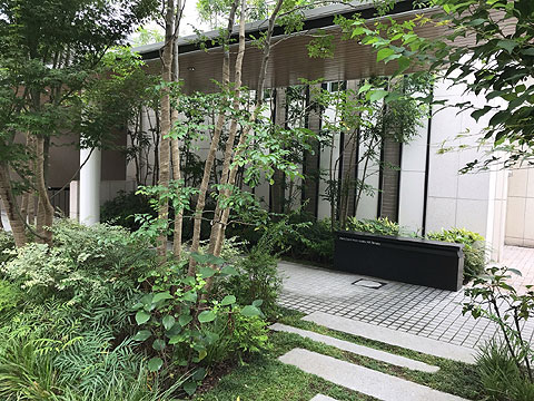 現地外観写真　外観３
