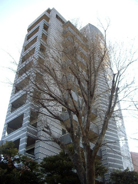 その他共用部　外観4