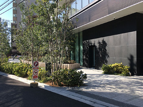 現地土地写真　敷地共用部分１