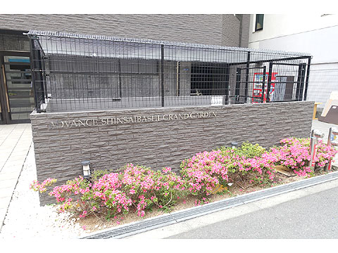 現地外観写真　DSC04222