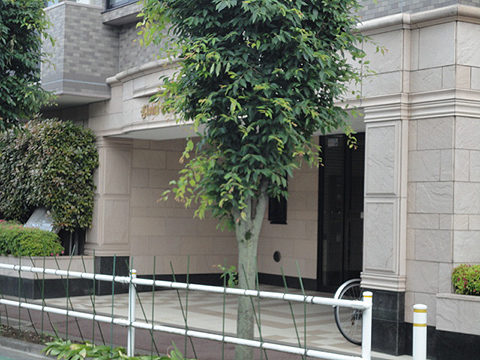 その他共用部　エントランス1