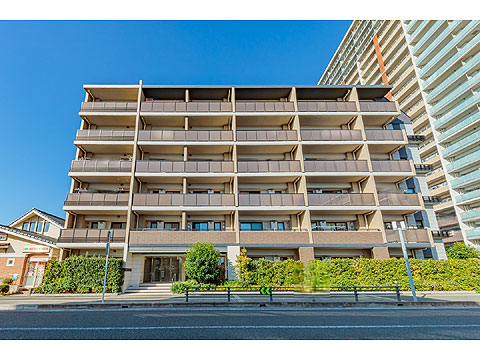 現地外観写真 外観