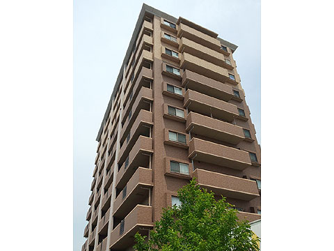 現地外観写真　エヌ・グランデ西長瀬外観