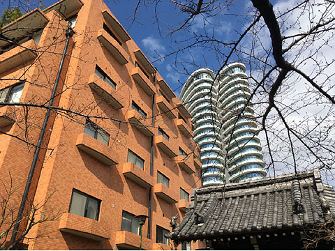 現地外観写真　外観３
