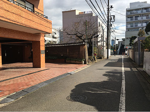 現地外観写真　前面道路
