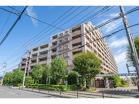 現地外観写真　外観２