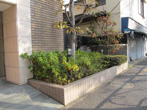 その他共用部　写真1