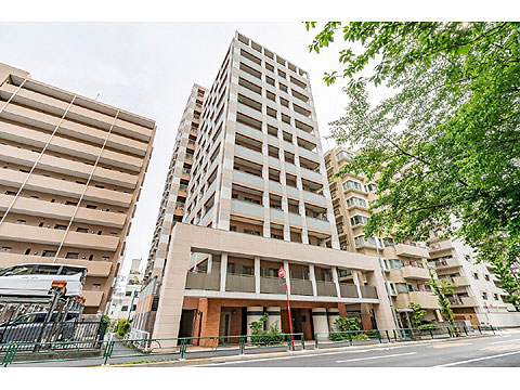 現地外観写真 外観