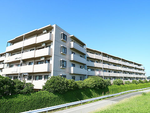 現地外観写真　建物外観