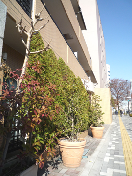 その他共用部　写真2