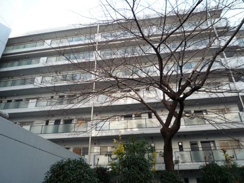 その他共用部　外観3