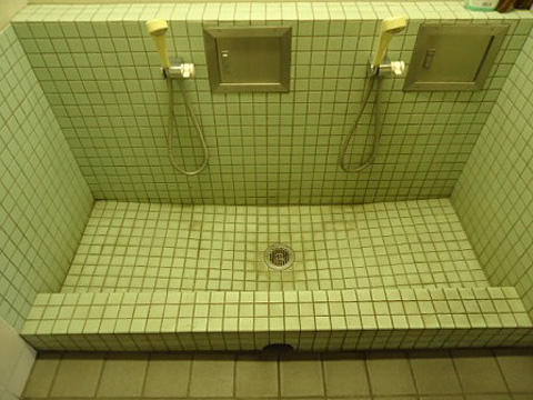 その他共用部　ペットの足洗い場
