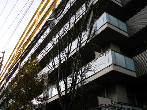その他共用部　外観4