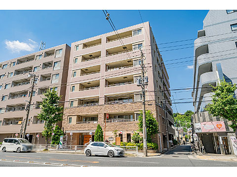 現地外観写真 外観