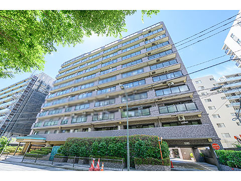 現地外観写真 外観