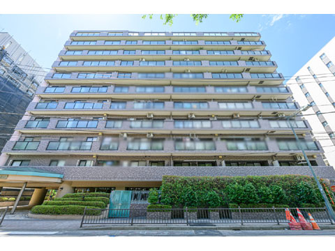 現地外観写真 外観