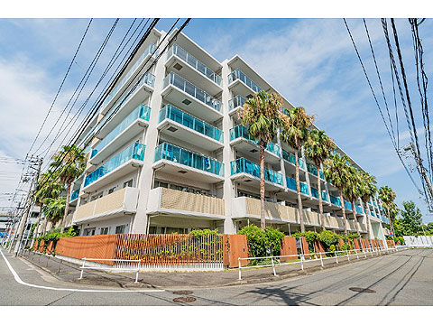 現地外観写真 外観