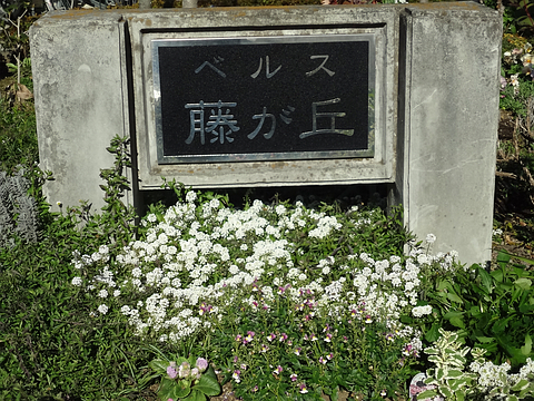 その他共用部　写真1