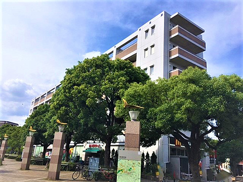 現地外観写真　地上６階建