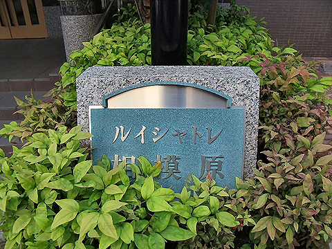 その他共用部　写真1