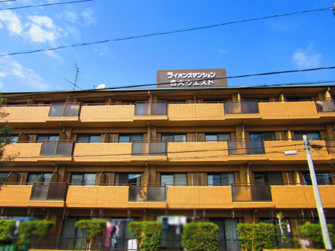現地外観写真　建物外観（南側）