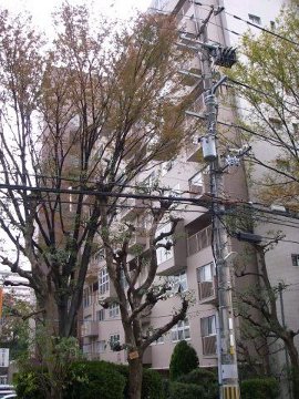 その他共用部　外観5