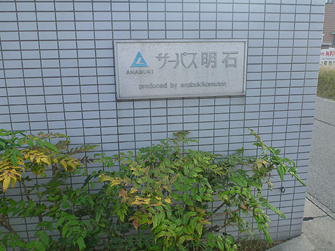 現地外観写真　IMG_0299