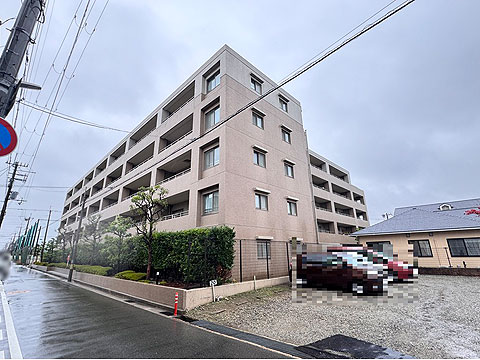 現地外観写真　南東側から撮影