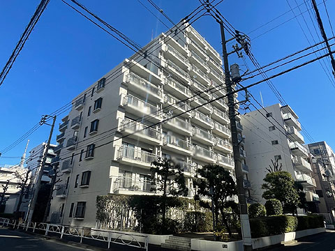 現地外観写真　外観（南西側2）