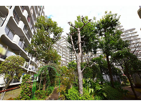 現地外観写真　DSC_0066