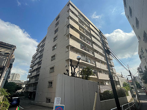 現地外観写真　外観（南）