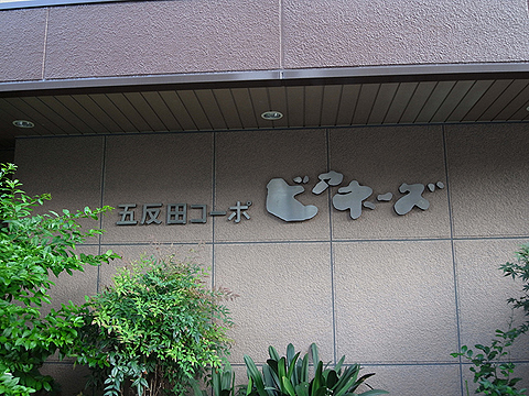 その他共用部　写真1