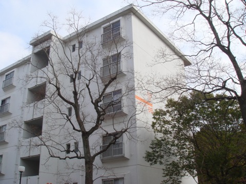 その他共用部　外観9