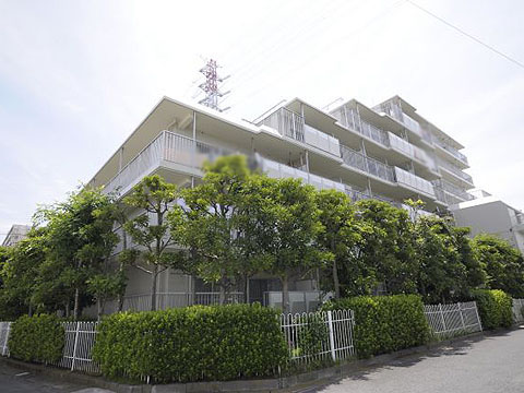 その他共用部　外観3