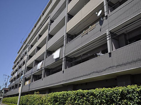 その他共用部　外観3