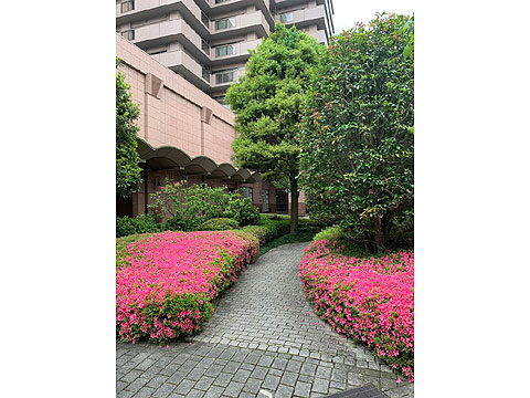 現地土地写真　共用３