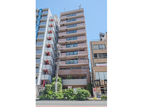 現地外観写真 外観