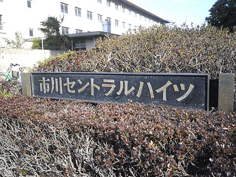 その他共用部　写真１