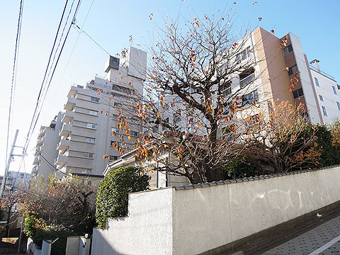 その他共用部　外観2