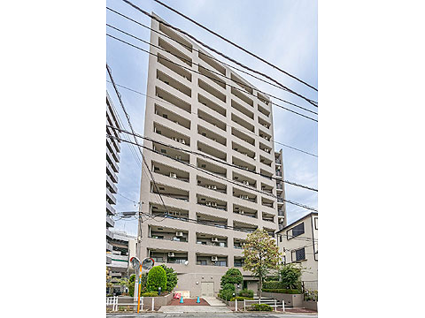 現地外観写真 外観