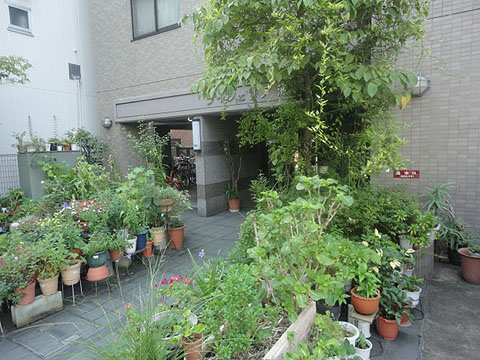 その他共用部　エントランス1