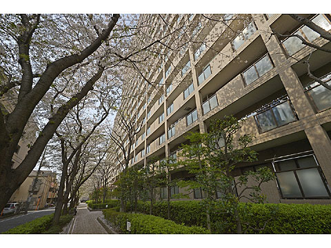 現地外観写真　外観３
