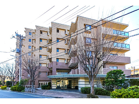 現地外観写真　レクセルマンション高根公団210-5