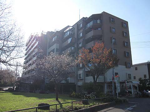 その他共用部　外観北東側
