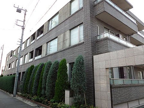 現地外観写真　外観東側