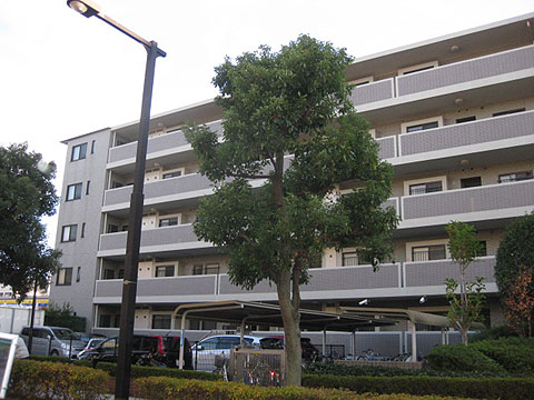 その他共用部　外観2