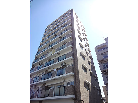 現地外観写真 外観タイル貼り